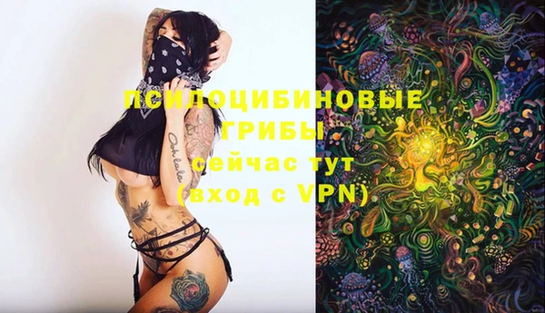 винт Козловка