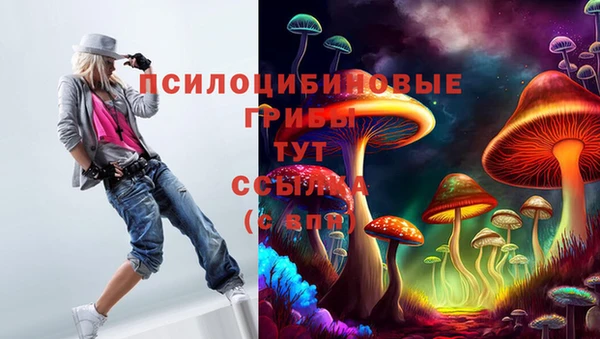 герыч Кодинск