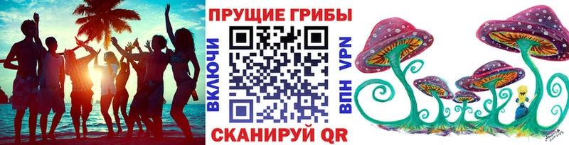 Псилоцибиновые грибы Psilocybe  Купить  Беслан 