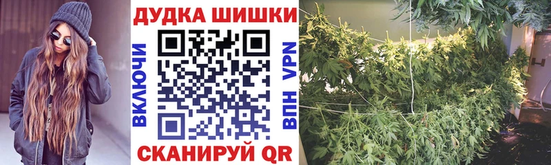 Конопля ГИДРОПОН Беслан